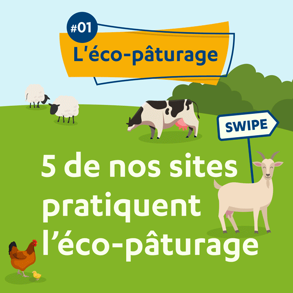 Animation presenting the practice of eco-pasturing, implemented on 5 Séché Environnement group sites.