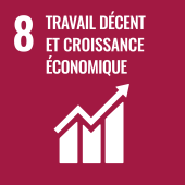 Sustainable development goal 8: x