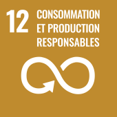 Sustainable development objective 12: responsible consumption and production