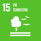 Sustainable development goal 15: Life on earth
