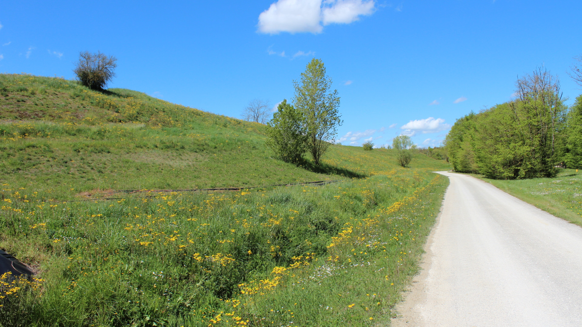 Réhabilitation d’espaces après leur exploitation industrielle. © Séché Environnement