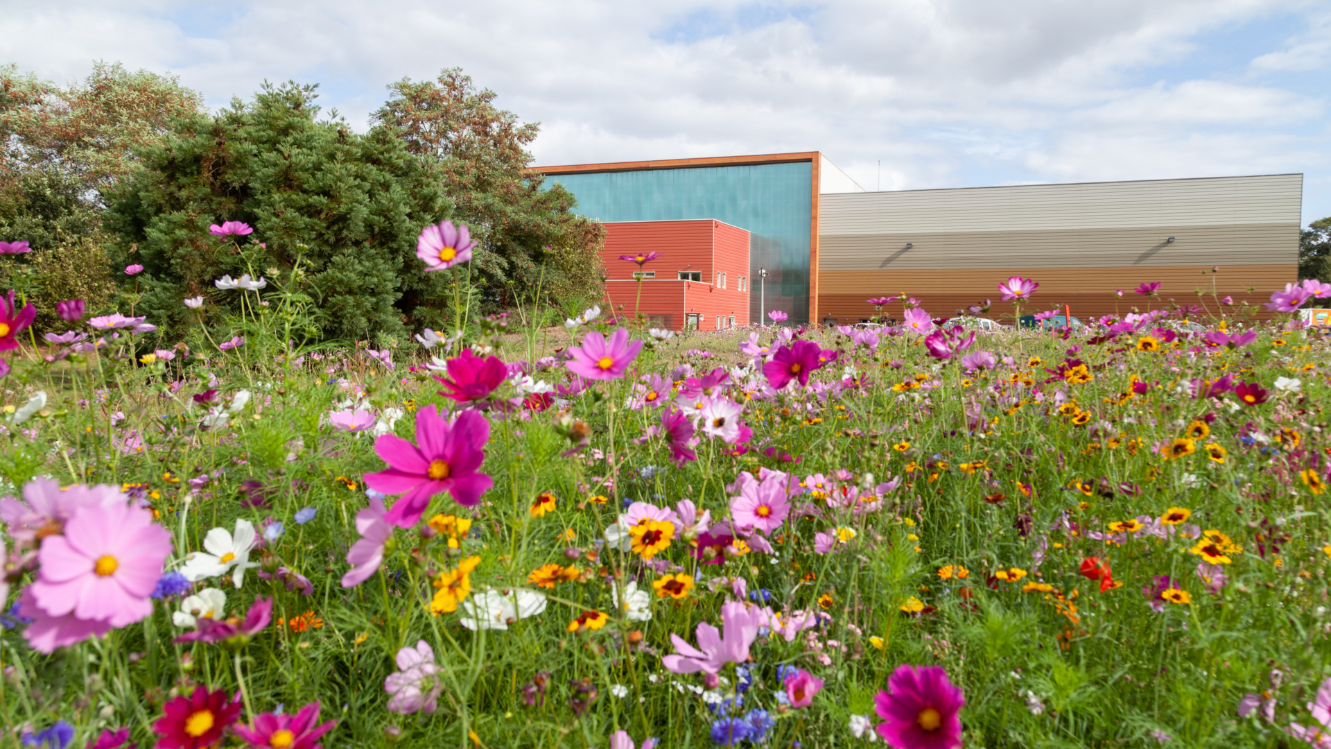 El centro de clasificación de Changé, cerca de Laval (Mayenne). © Séché Environnement. Foto: François Vrignaud.