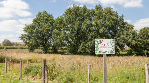Sensitive ecological zone at Changé © Séché Environnement