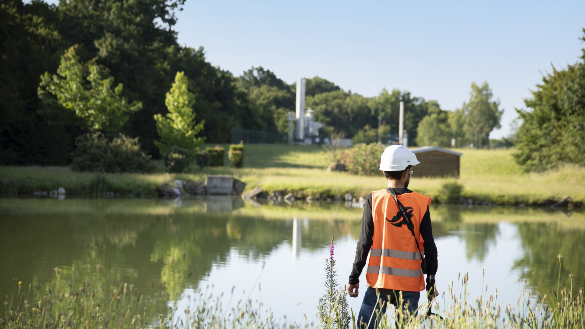 Zone humide sur le site DRIMM. © Séché Environnement.