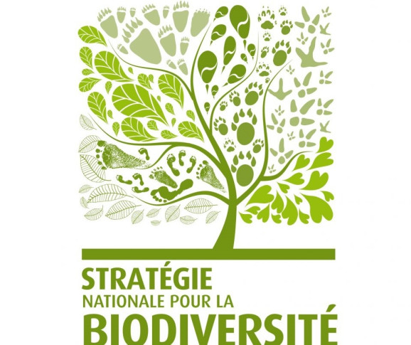 Logo de la Stratégie Nationale pour la Biodiversité