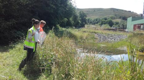 Observation of a pond. ©Séché Environnement