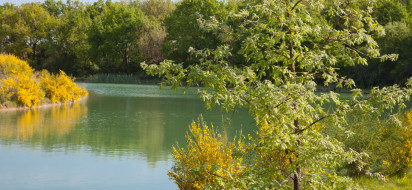 Humedal preservado en el centro de valorización y tratamiento de residuos DRIMM, cerca de Montauban. Séché Environnement