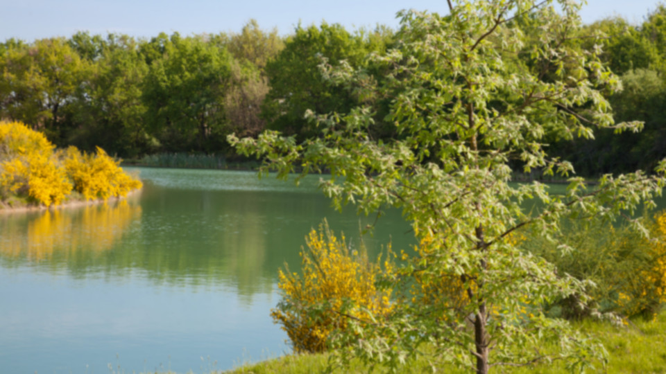 Wetland preserved on the DRIMM waste recovery and treatment site, near Montauban. Séché Environnement