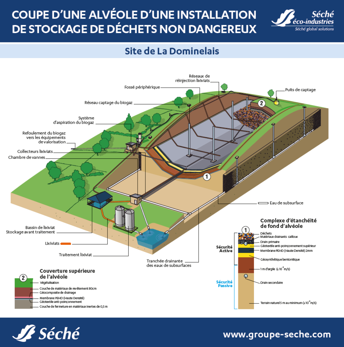 coupe-alveole-la-dominelais